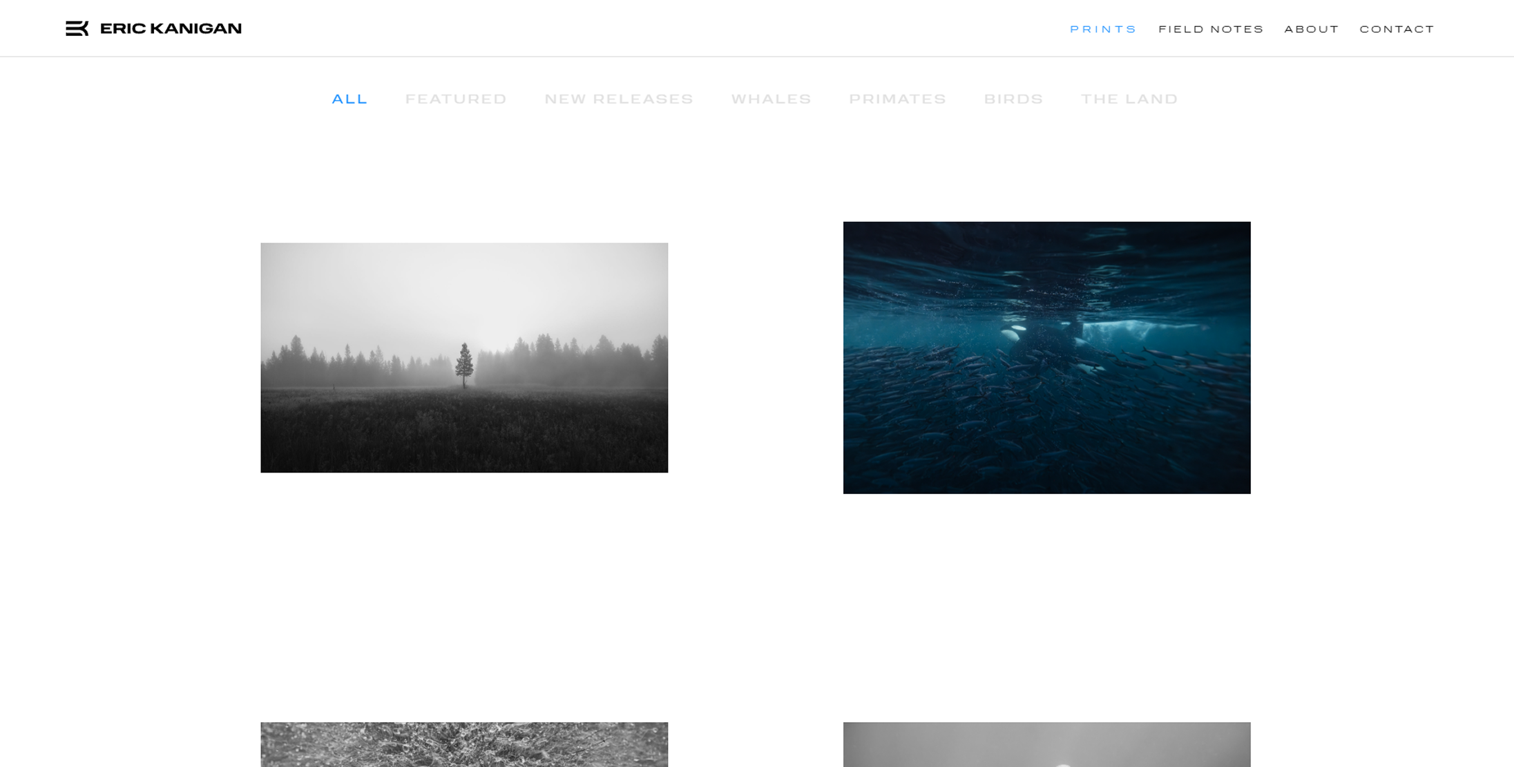 Eric Kanigan Photography — editorial print gallery built in Webflow